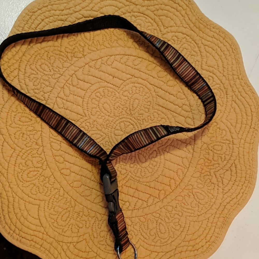 Lanyard